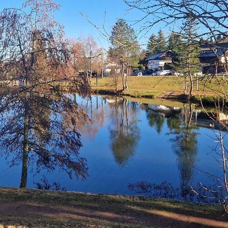 Ferienwohnung Panorama Schwarzwald Herrischried Zewnętrze zdjęcie