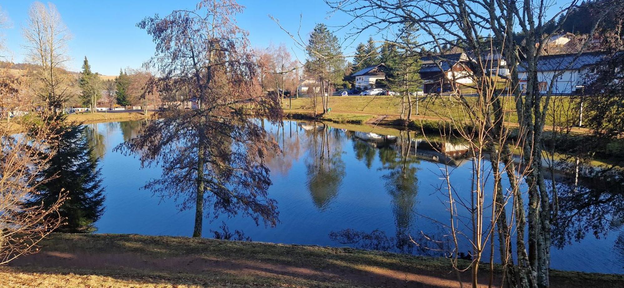 Ferienwohnung Panorama Schwarzwald Herrischried Zewnętrze zdjęcie